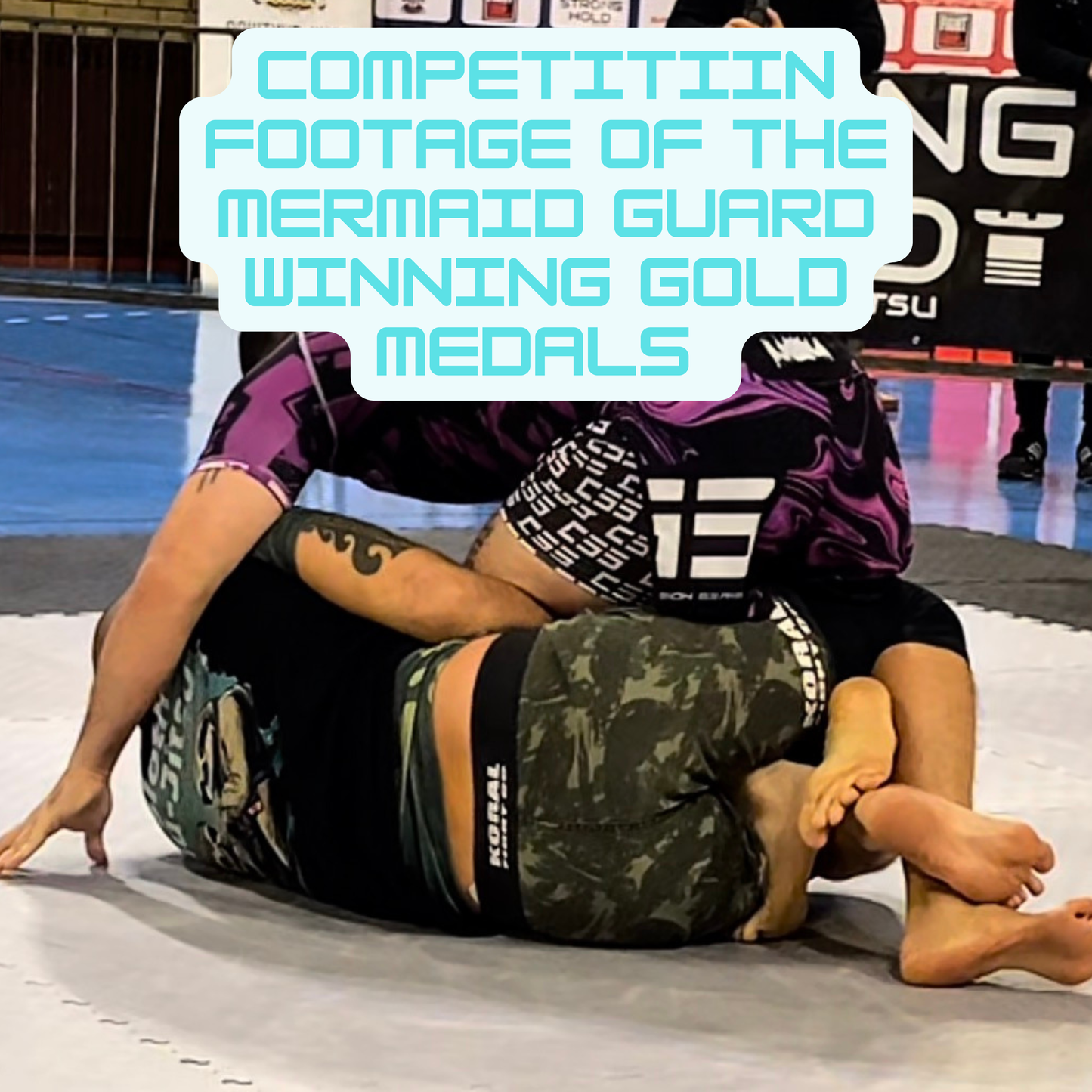 Mermaid Guard No Gi 1